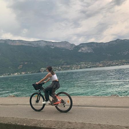 Petit Cocon Entre Lac, Golf Et Montagne, Proche D'Annecy Giez Exterior foto
